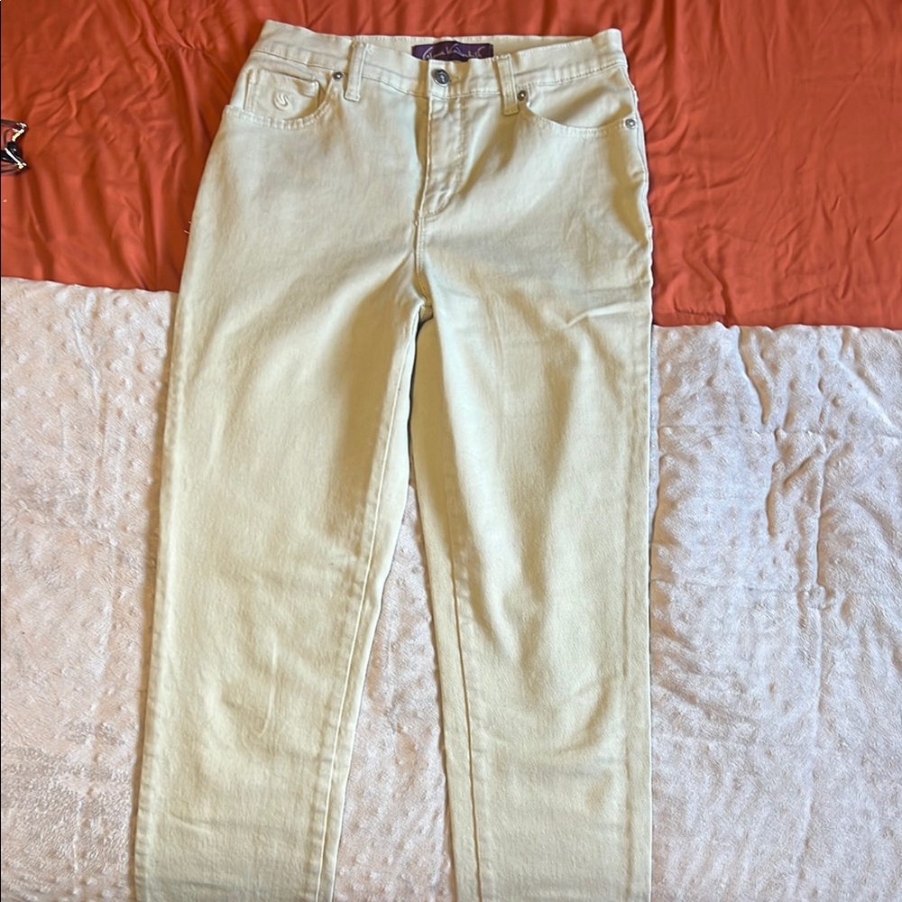 Green/Gray Denim Jeans